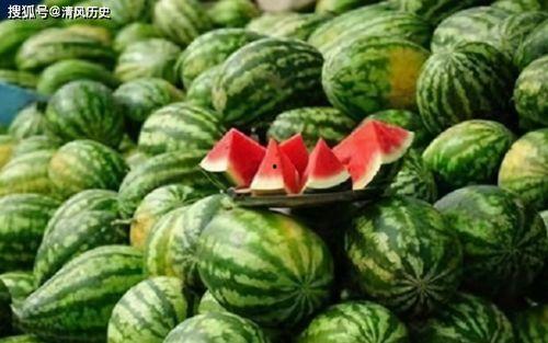 文澴楼吃瓜,揭秘网红打卡地的吃瓜趣事