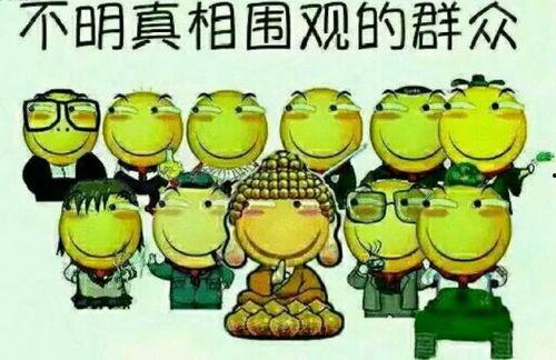 吃瓜群众麦麦小哥,吃瓜群众的趣味解读