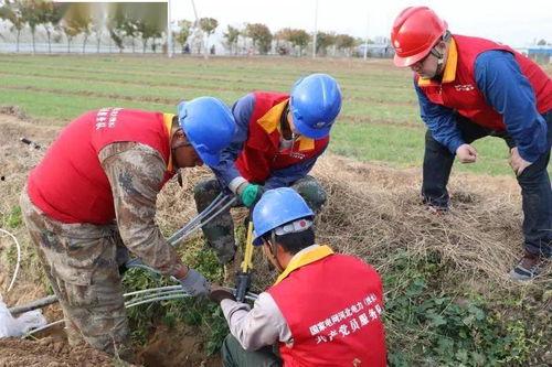 吃瓜群众麦麦小哥,吃瓜群众的趣味解读