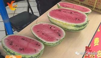 襄县吃瓜,吃瓜也能吃出文化味