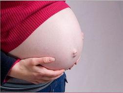 孕妇可以吃白雪瓜不,孕妇适宜食用白雪瓜的益处