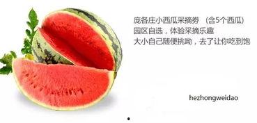 吃瓜鑫禧禾,揭秘娱乐圈的甜蜜瓜田