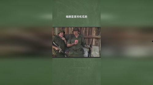 吃瓜小编剧,吃瓜小编剧背后的真相大揭秘