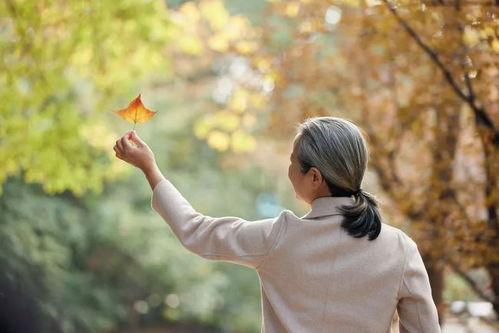 吃瓜少女婿,揭秘娱乐圈甜蜜爱情背后的故事