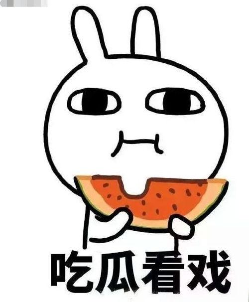 长期吃瓜有话说