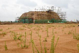 宁夏长城集团吃瓜