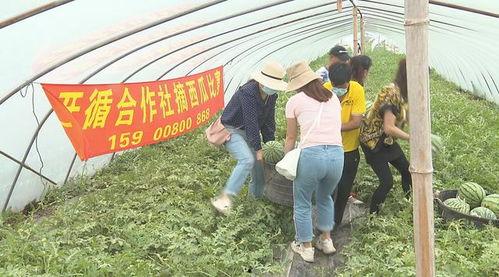 吃瓜比赛寄语,吃瓜比赛寄语，共享欢乐时光  第2张