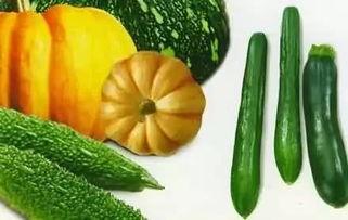 汉娜吃瓜,揭秘娱乐圈背后的秘密