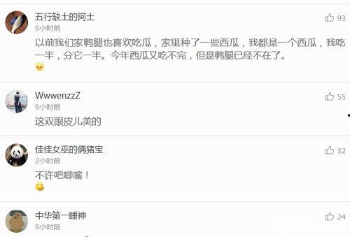 语音听吃瓜圈,网络舆论场中的热点追踪与娱乐狂欢  第2张
