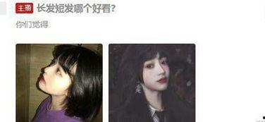 吃瓜系统白晓,白晓如何引领网络热议新潮流  第2张