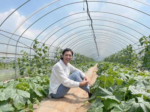 林木妹妹吃瓜系统