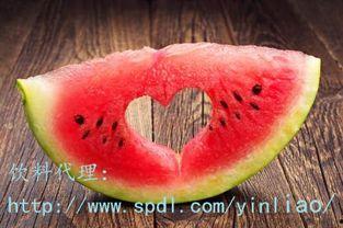 羊瓜密瓜怎么吃,羊瓜密瓜的多样食法探索  第2张