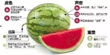 女子微信吃瓜,揭秘网络八卦背后的真相  第2张