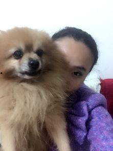 吃瓜直播懒猫  第1张