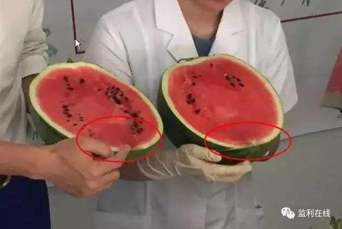 吃瓜不吐皮直播,直播界的趣味盛宴  第2张