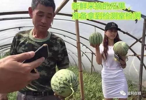 吃瓜不吐皮直播,直播界的趣味盛宴  第3张